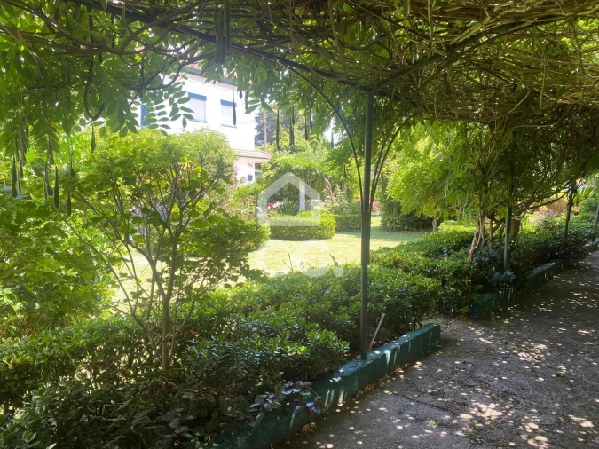 Quinta T32 para Venda em Seixas Foto 59