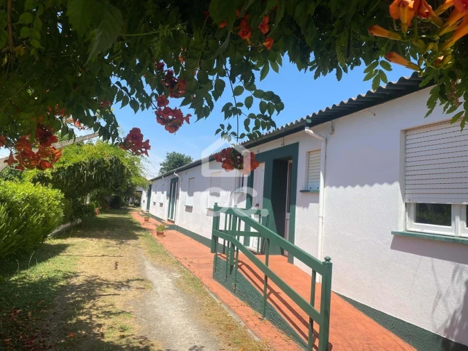 Quinta T32 para Venda em Seixas Foto 107