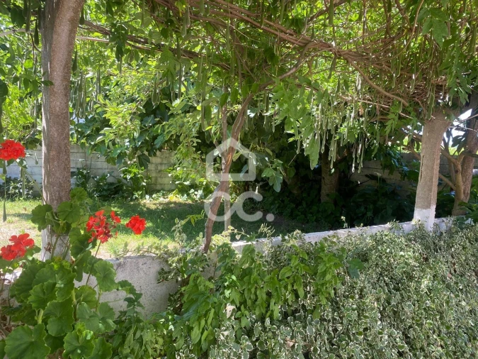 Quinta T32 para Venda em Seixas Foto 69