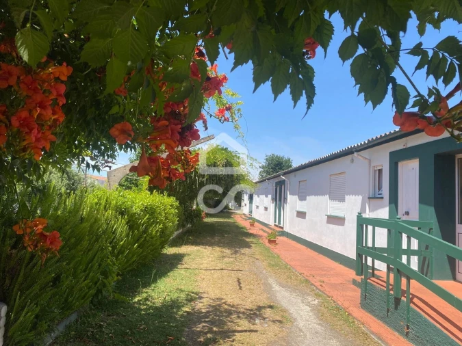 Quinta T32 para Venda em Seixas Foto 10