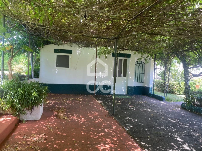 Quinta T32 para Venda em Seixas Foto 117