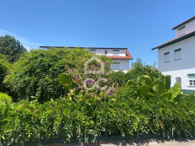 Quinta T32 para Venda em Seixas Foto 8