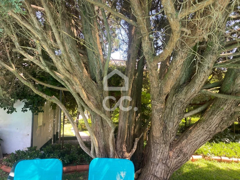 Quinta T32 para Venda em Seixas Foto 48