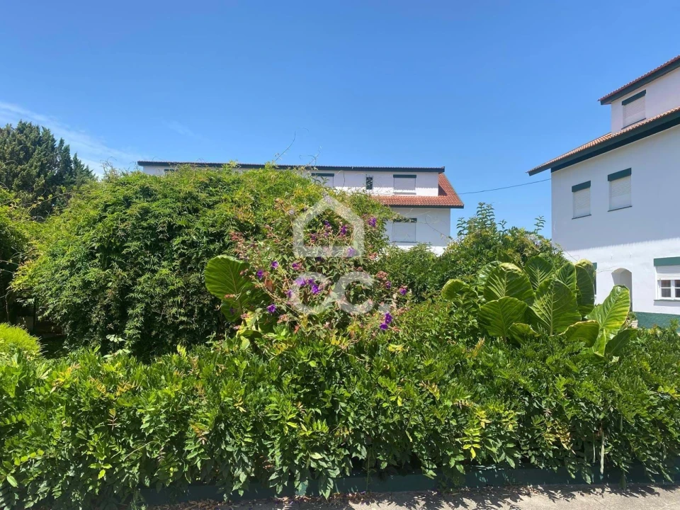 Quinta T32 para Venda em Seixas Foto 103