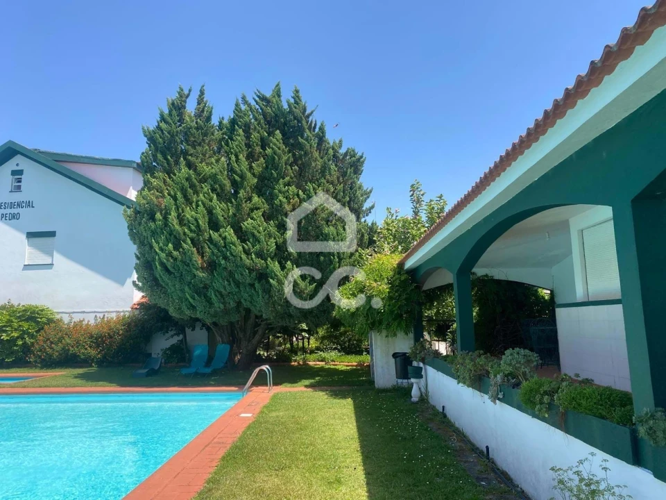 Quinta T32 para Venda em Seixas Foto 104