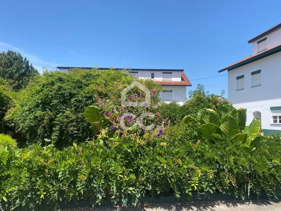 Quinta T32 para Venda em Seixas Foto 8