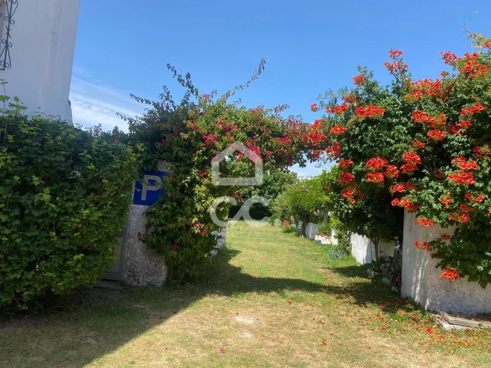 Quinta T32 para Venda em Seixas Foto 46