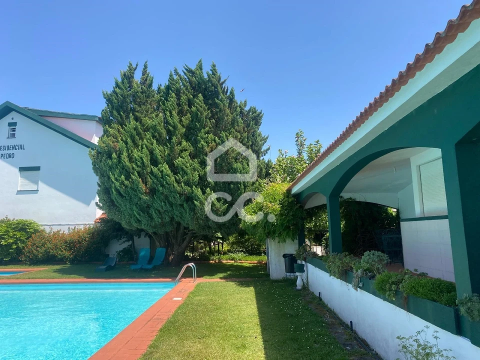 Quinta T32 para Venda em Seixas Foto 43