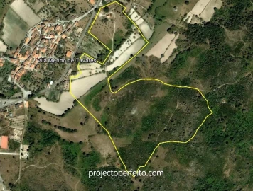 Terreno Agricola ou Rústico para Venda em Mangualde, Mesquitela e Cunha Alta