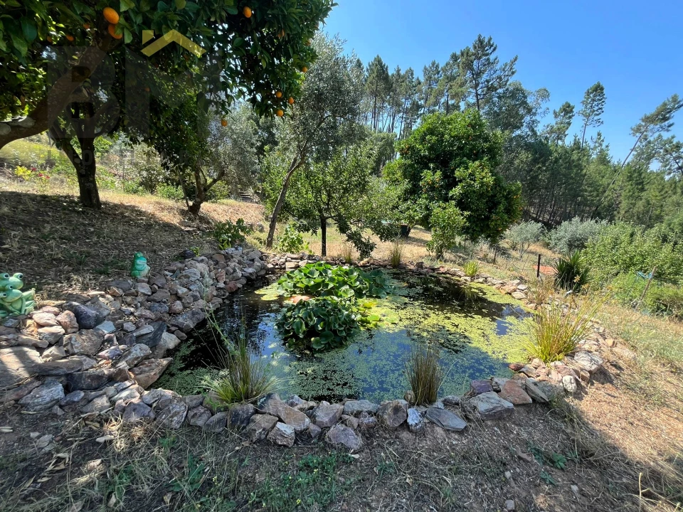 Quinta T0 para Venda em Almaceda Foto 36