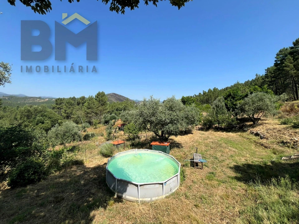 Quinta T0 para Venda em Almaceda Foto 26