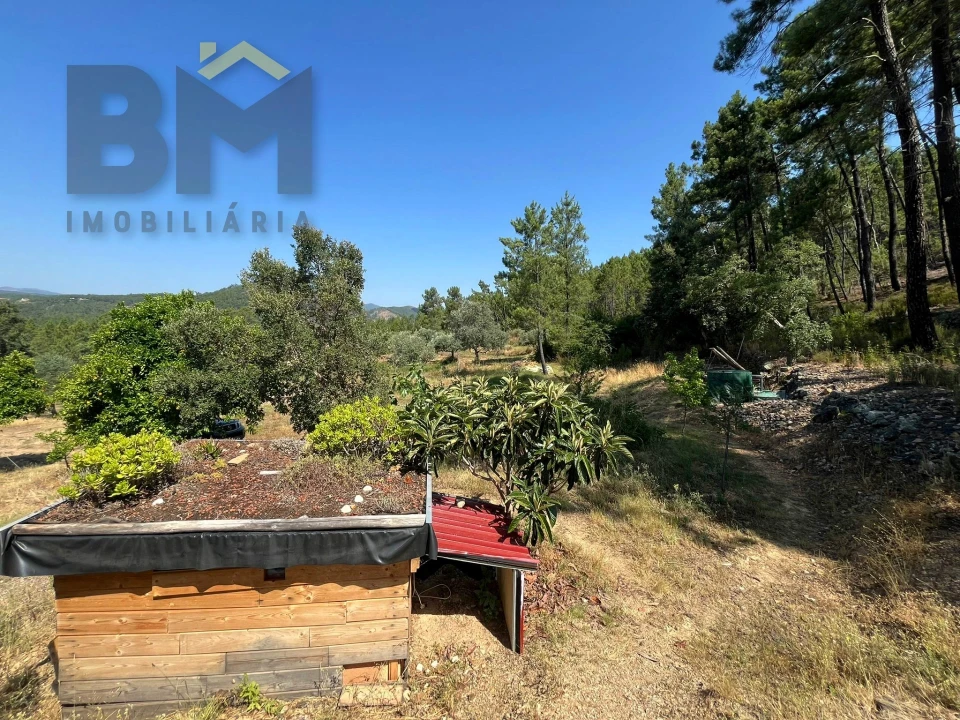 Quinta T0 para Venda em Almaceda Foto 22