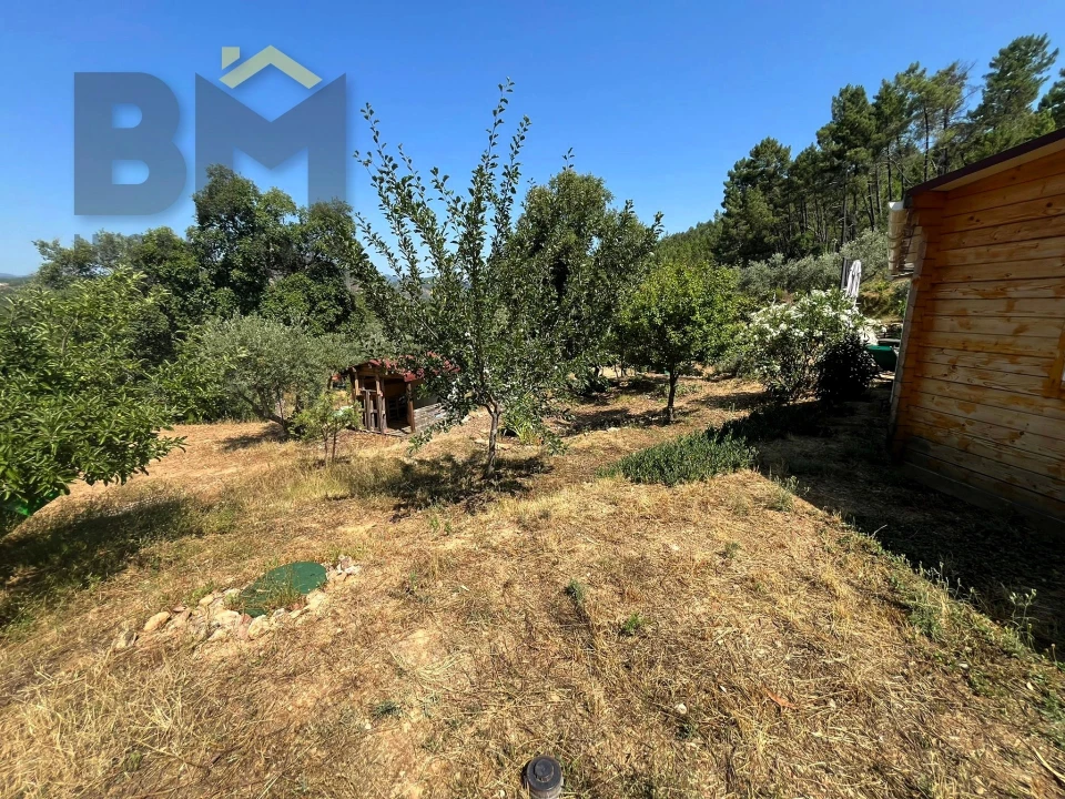 Quinta T0 para Venda em Almaceda Foto 17