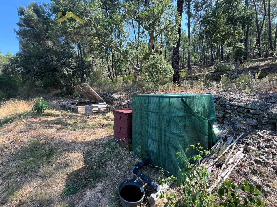 Quinta T0 para Venda em Almaceda Foto 24