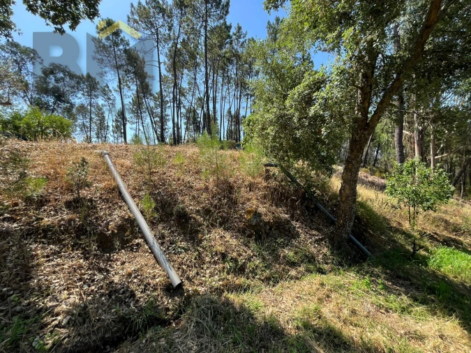 Quinta T0 para Venda em Almaceda Foto 41