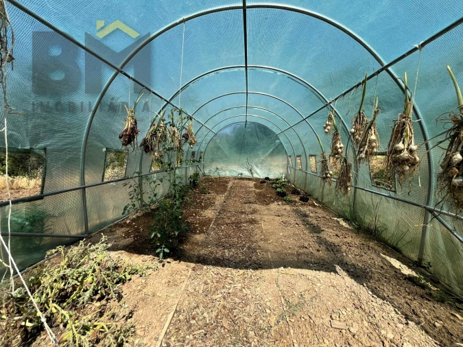 Quinta T0 para Venda em Almaceda Foto 34