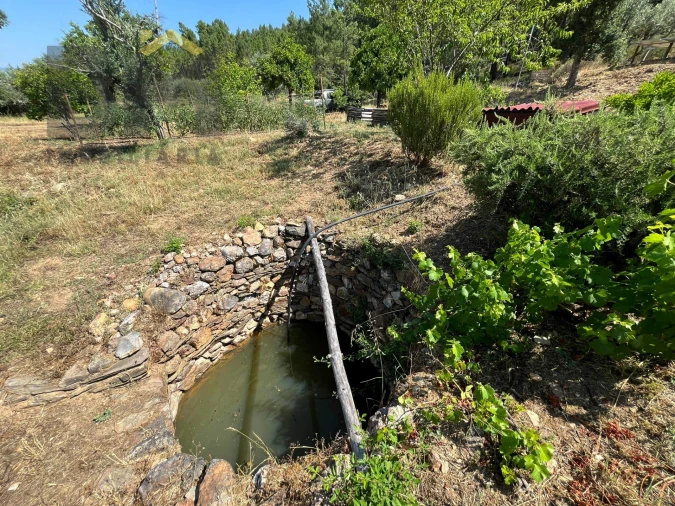 Quinta T0 para Venda em Almaceda Foto 37