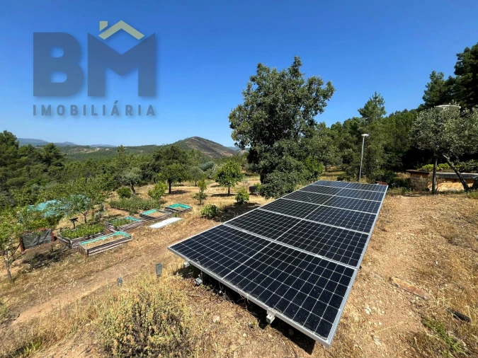 Quinta T0 para Venda em Almaceda Foto 20