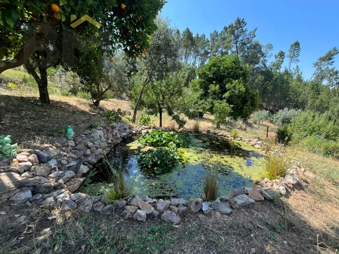 Quinta T0 para Venda em Almaceda Foto 36