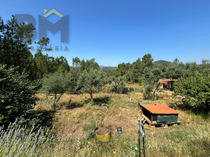 Quinta T0 para Venda em Almaceda Foto 32