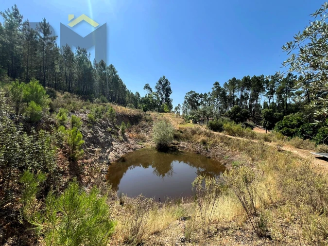 Quinta T0 para Venda em Almaceda Foto 27