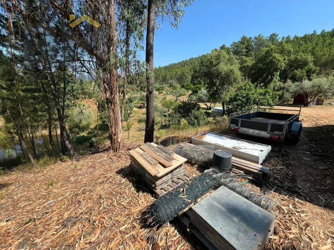 Quinta T0 para Venda em Almaceda Foto 18