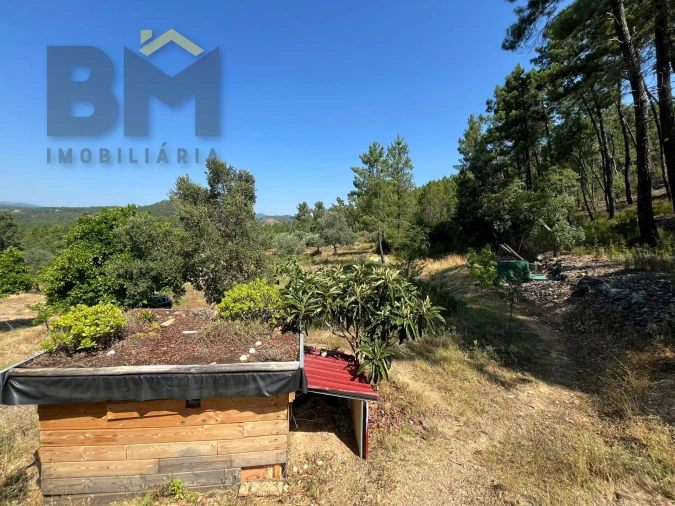 Quinta T0 para Venda em Almaceda Foto 22