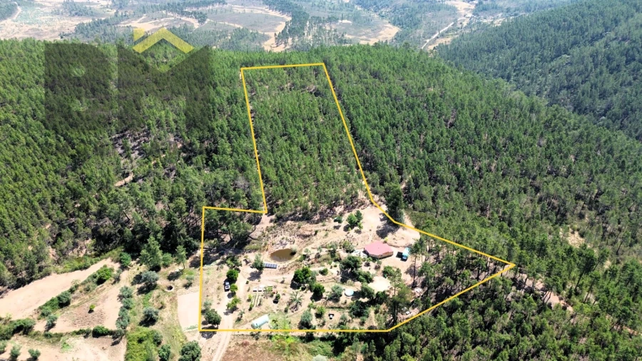 Quinta T0 para Venda em Almaceda Foto 1