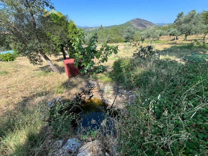 Quinta T0 para Venda em Almaceda Foto 31