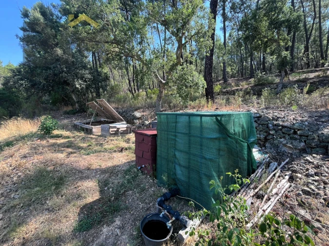 Quinta T0 para Venda em Almaceda Foto 24