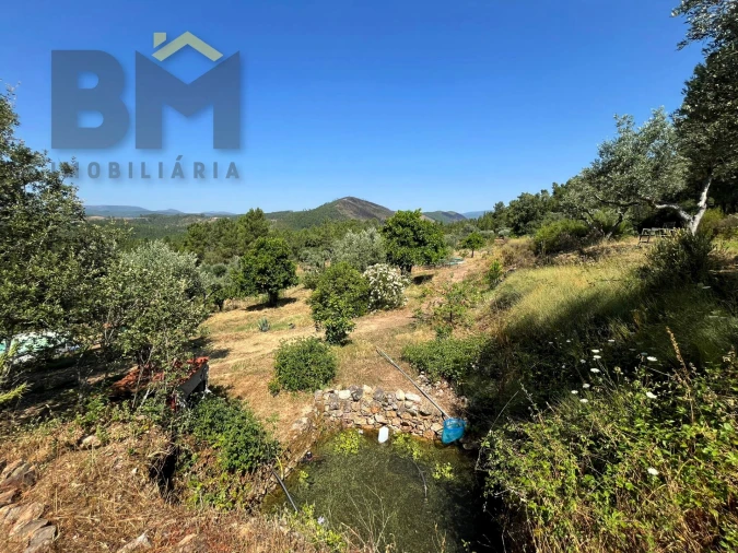 Quinta T0 para Venda em Almaceda Foto 29