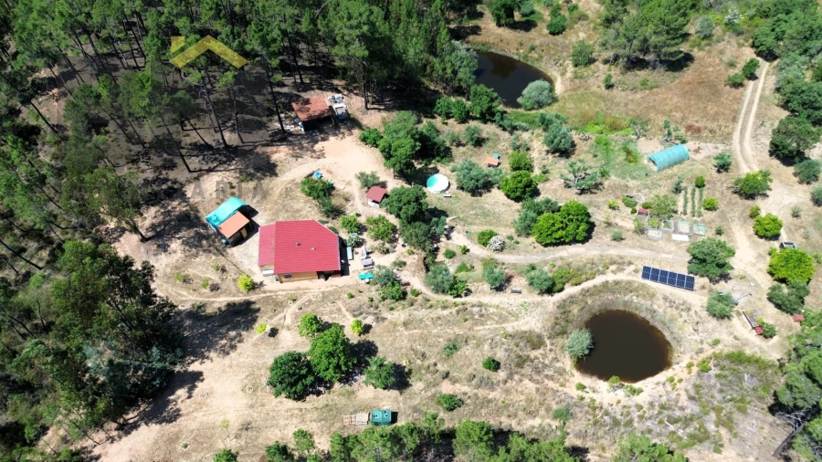Quinta T0 para Venda em Almaceda Foto 40