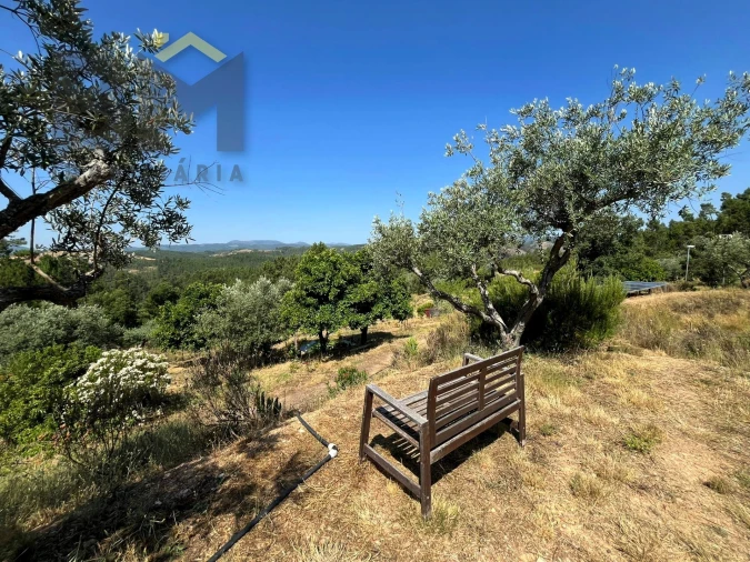 Quinta T0 para Venda em Almaceda Foto 21