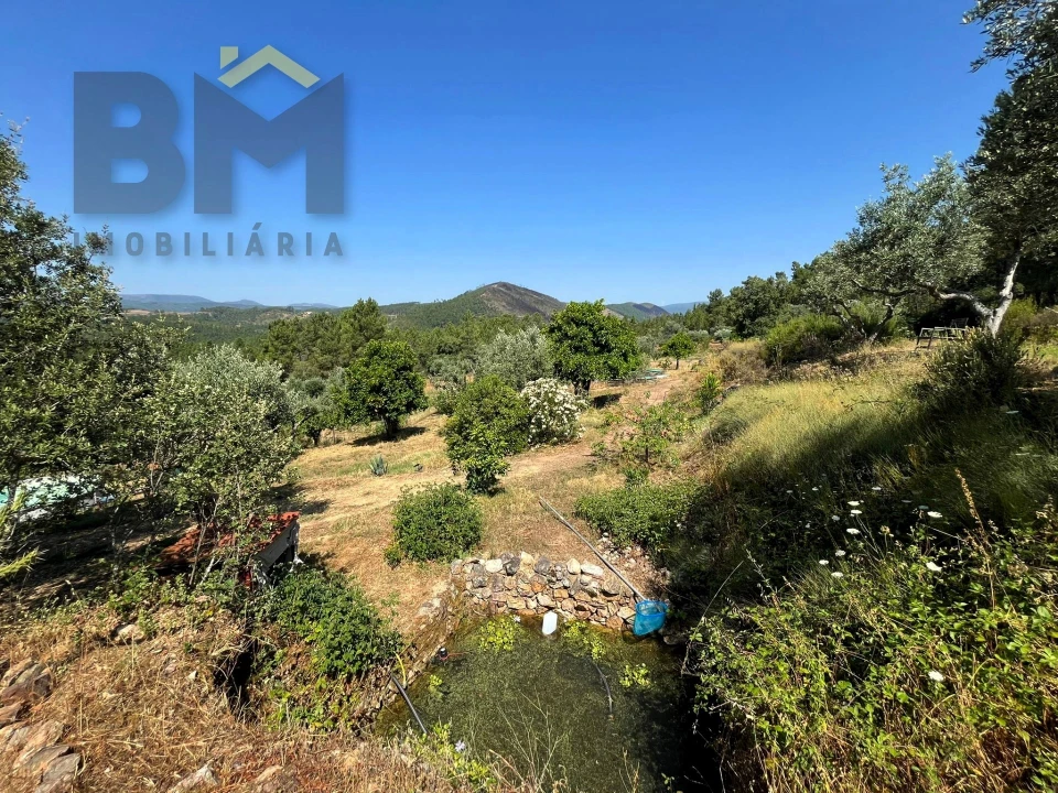 Quinta T0 para Venda em Almaceda Foto 29