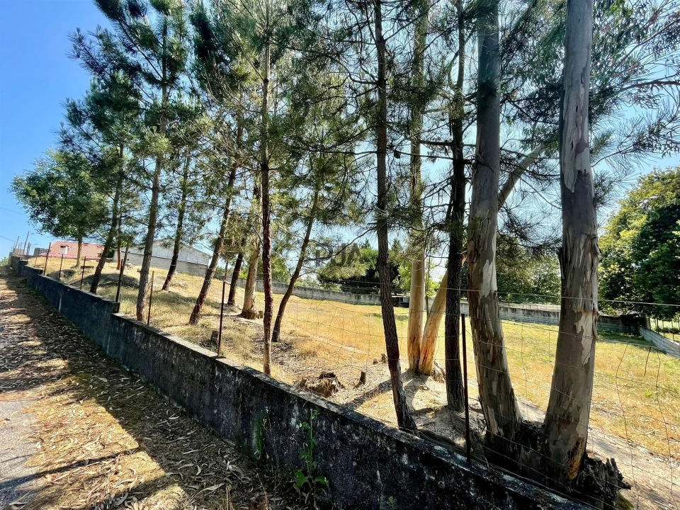 Terreno para Venda em São João de Areias Foto 2