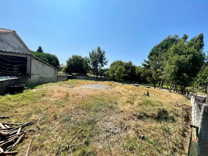 Terreno para Venda em São João de Areias Foto 3