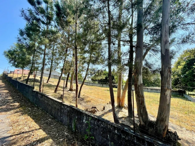 Terreno para Venda em São João de Areias Foto 2