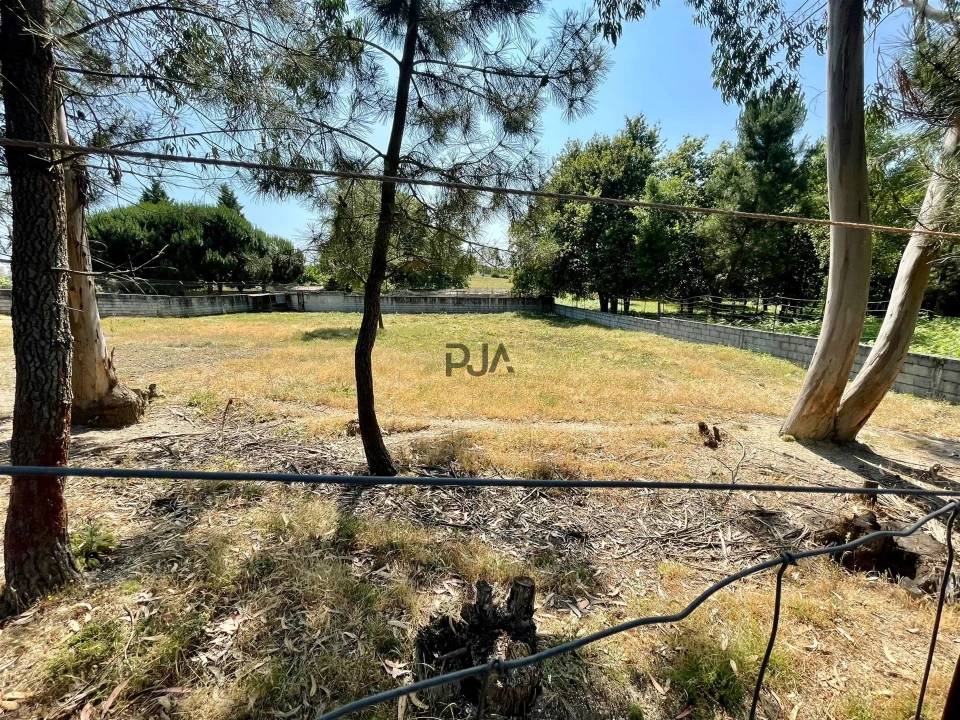 Terreno para Venda em São João de Areias Foto 1