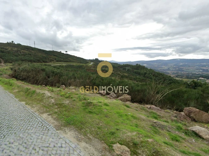 Terreno Agricola ou Rústico para Venda em Banho e Carvalhosa Foto 1
