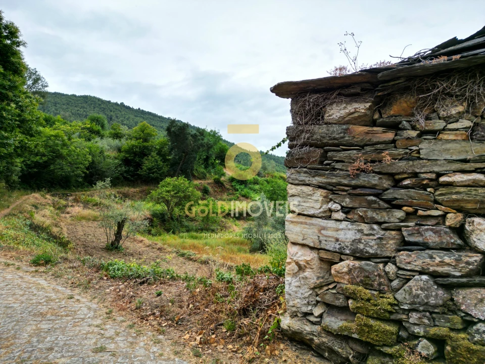 Terreno para Venda em Real Foto 19