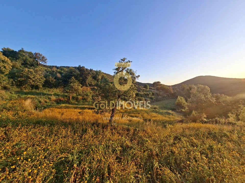 Terreno para Venda em Real Foto 11