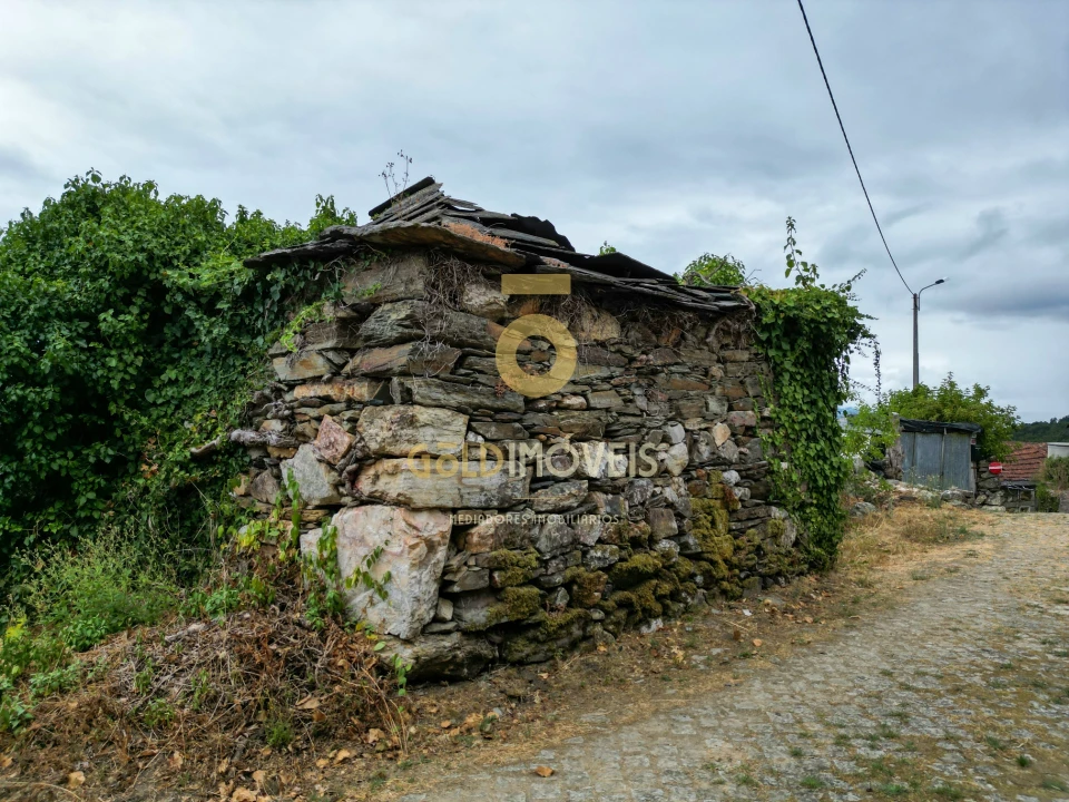 Terreno para Venda em Real Foto 18