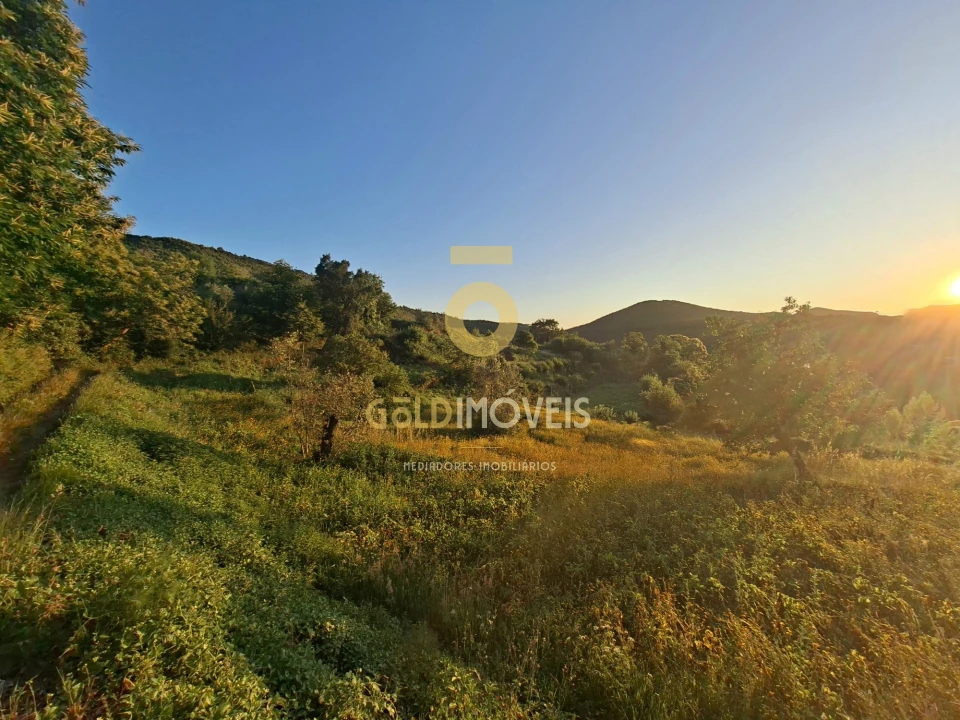 Terreno para Venda em Real Foto 2