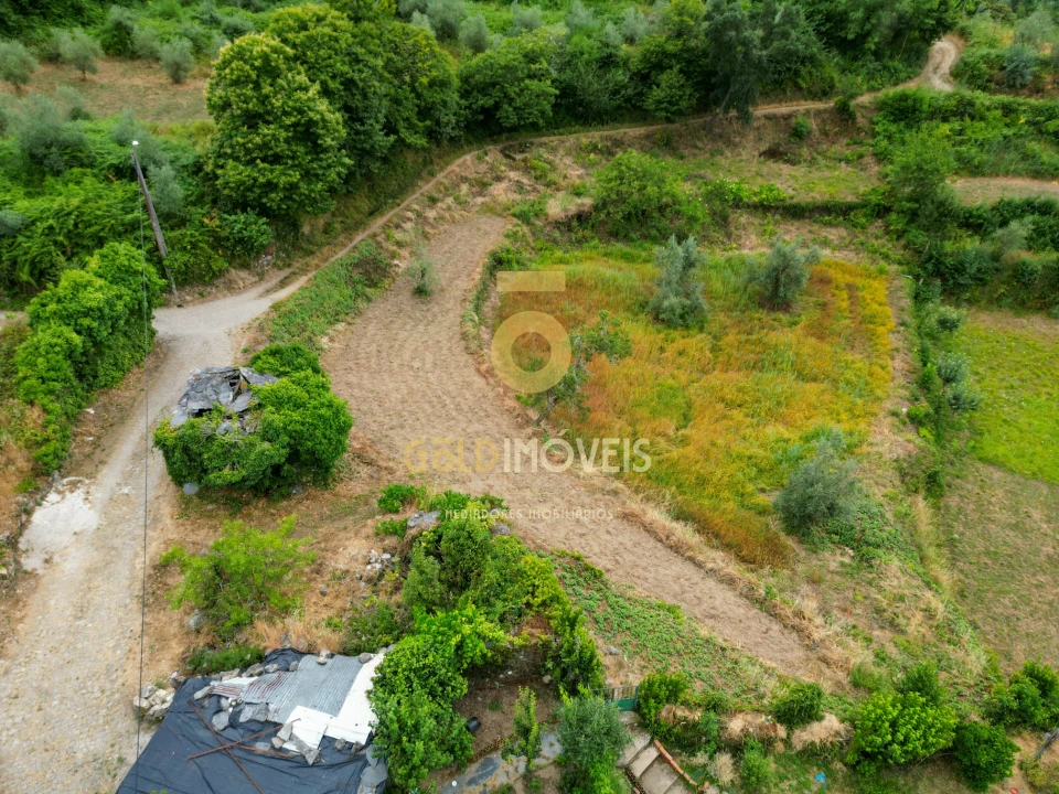 Terreno para Venda em Real Foto 14