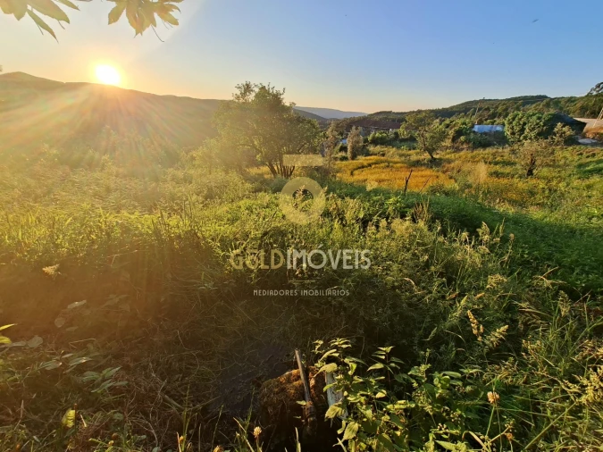 Terreno para Venda em Real Foto 5