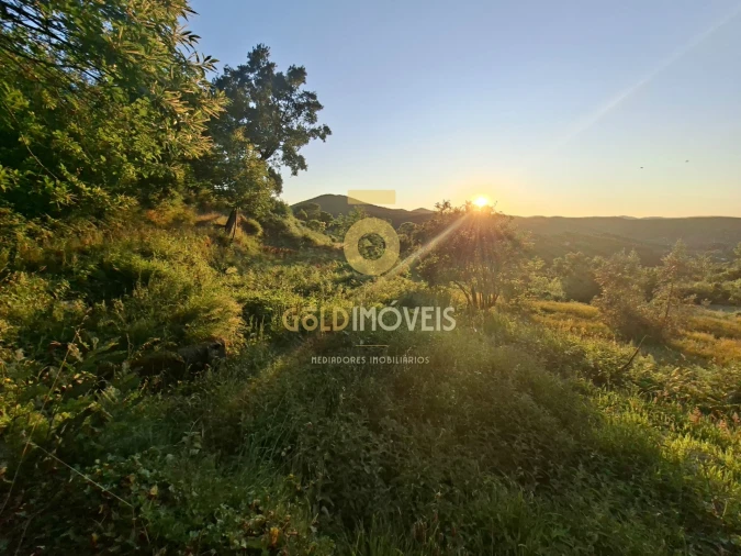 Terreno para Venda em Real Foto 4