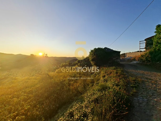 Terreno para Venda em Real Foto 8