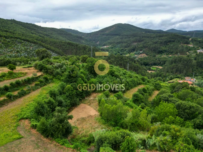 Terreno para Venda em Real Foto 15
