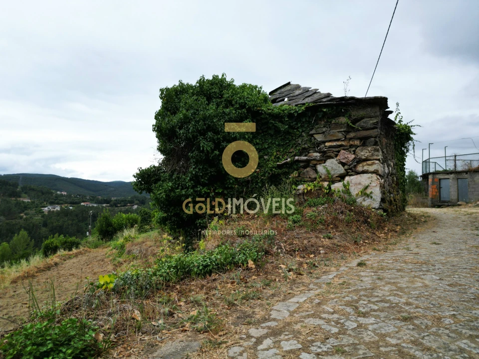 Terreno para Venda em Real Foto 17