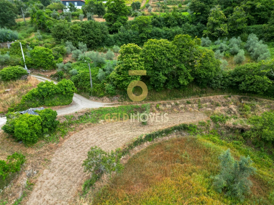 Terreno para Venda em Real Foto 1